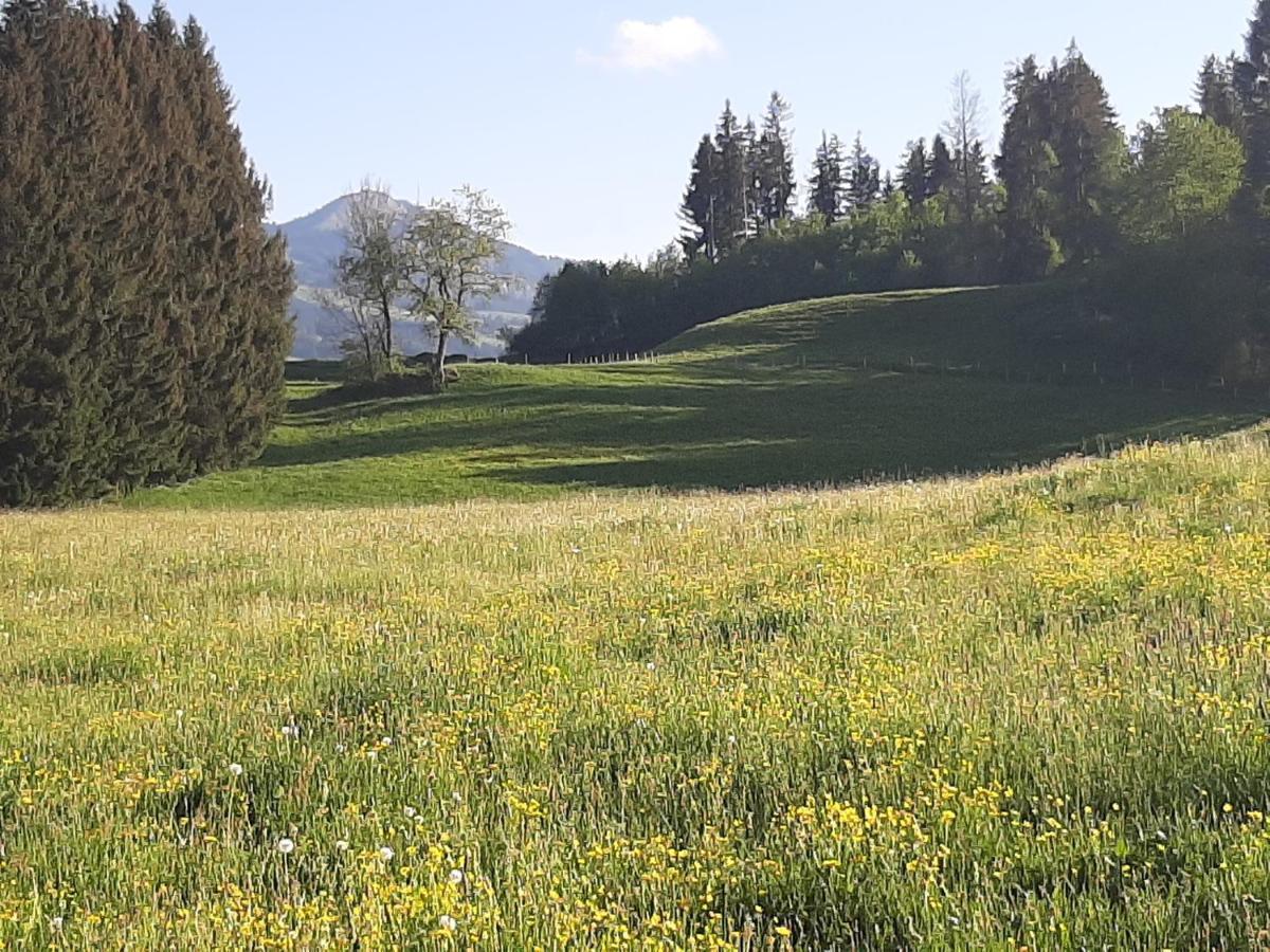 Traumgarten Allgaeu Rettenberg Exteriör bild