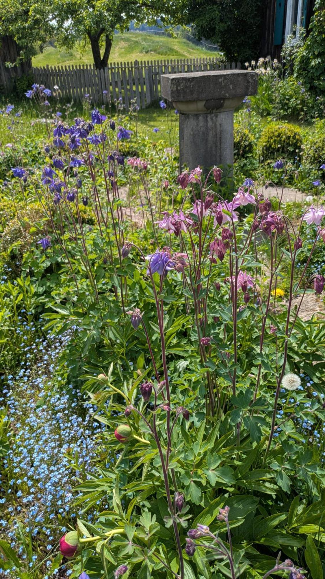 Traumgarten Allgaeu Rettenberg Exteriör bild