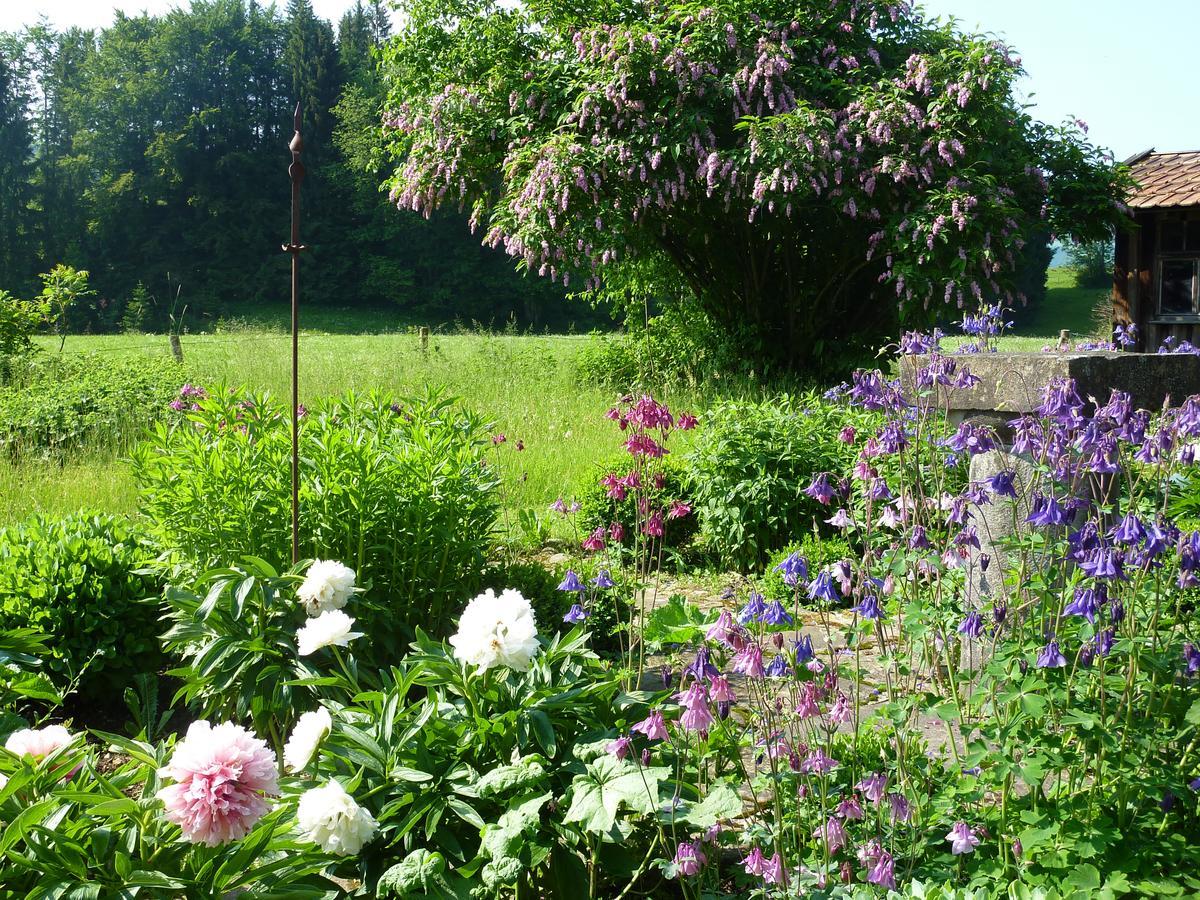 Traumgarten Allgaeu Rettenberg Exteriör bild