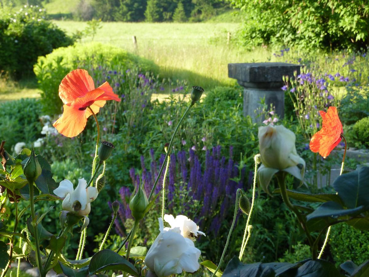 Traumgarten Allgaeu Rettenberg Exteriör bild